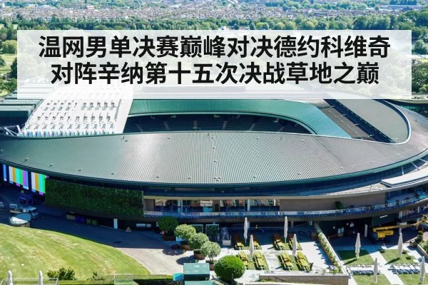 温网男单决赛巅峰对决德约科维奇对阵辛纳第十五次决战草地之巅